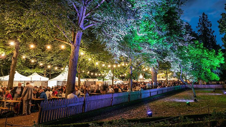 Wennn es dunkel wird, werden die Alleebäume im Hofgarten beim Weinfest bunt angestrahlt. Wennn es dunkel wird, werden die Alleebäume im Hofgarten beim Weinfest bunt angestrahlt.