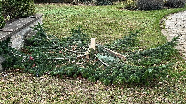 Der Dorf-Weihnachtsbaum von Fröhstockheim wurde an Heiligabend umgesägt und abtransportiert.