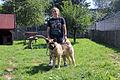 Marina Neuner,&nbsp;Leiterin des Tierheims Schwebheim, zeigt Hündin Maja, eine dreijährige American Akita.