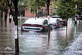 Land unter.jpeg       -  Autos stehen auf einer überfluteten Straße in New York.