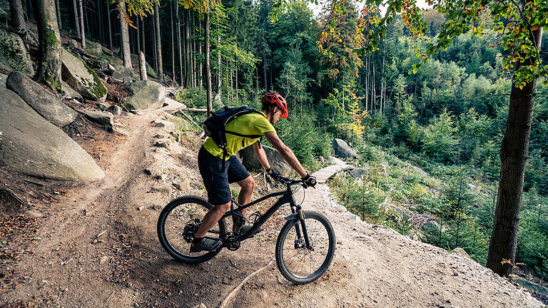 Urlaub 2021 mit der Reiseauktion       -  Wer nach einer Portion Action sucht, wird ebenfalls im Bayerischen Wald fündig. Mit dem Mountainbike geht es rasant über Stock und Stein.