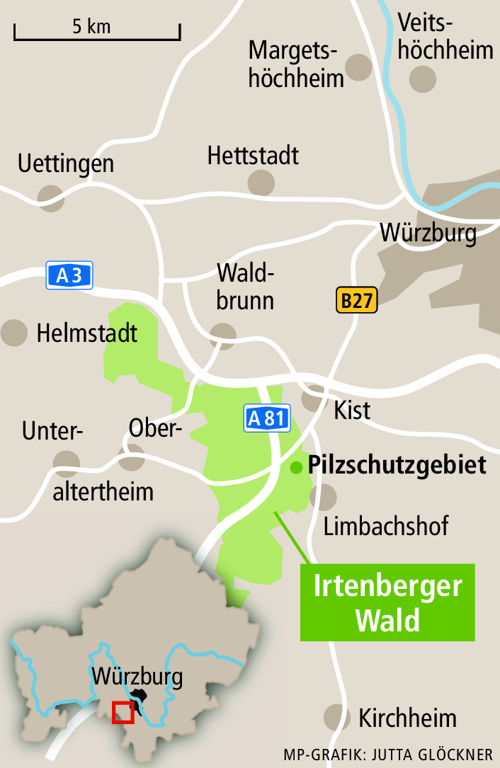 Massive Baumfällung im Landkreis Würzburg: Kritik an Staatsforst Massive Baumfällung im Landkreis Würzburg: Kritik an Staatsforst