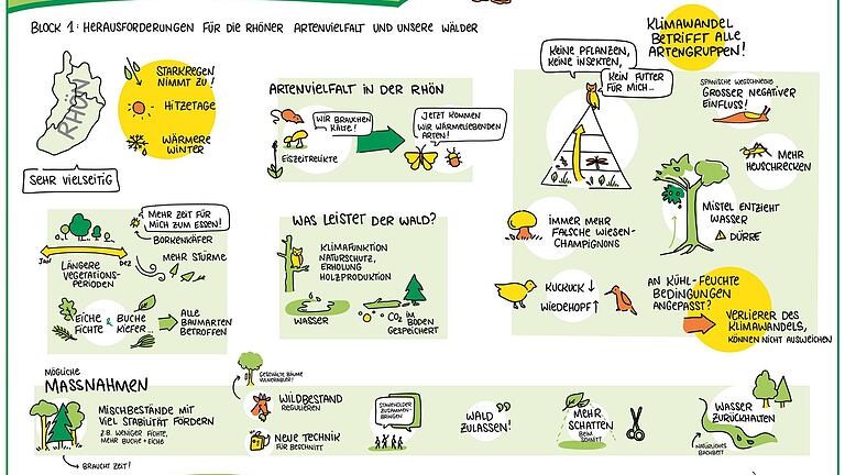 Zeichnerische Zusammenfassung der Biosphärentagung. Hier ist das Thema 'Herausforderungen für die Rhöner Artenvielfalt und unsere Wälder' dargestellt. Zeichnerische Zusammenfassung der Biosphärentagung. Hier ist das Thema 'Herausforderungen für die Rhöner Artenvielfalt und unsere Wälder' dargestellt.