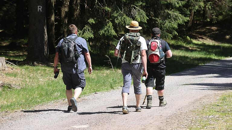 Beim Wandern im Wald lässt sich die Hitze gut ertragen.