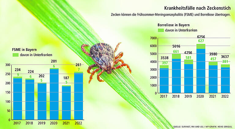 Kühler Frühling, aber viele Zeckenbisse und Infektionen in Bayern: Warum Experten jetzt schon vor einem Zeckenjahr warnen Kühler Frühling, aber viele Zeckenbisse und Infektionen in Bayern: Warum Experten jetzt schon vor einem Zeckenjahr warnen