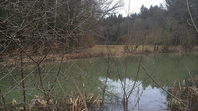 Bäche und Wasserlöcher sorgen auf dem Brönnhof für Artenvielfalt.