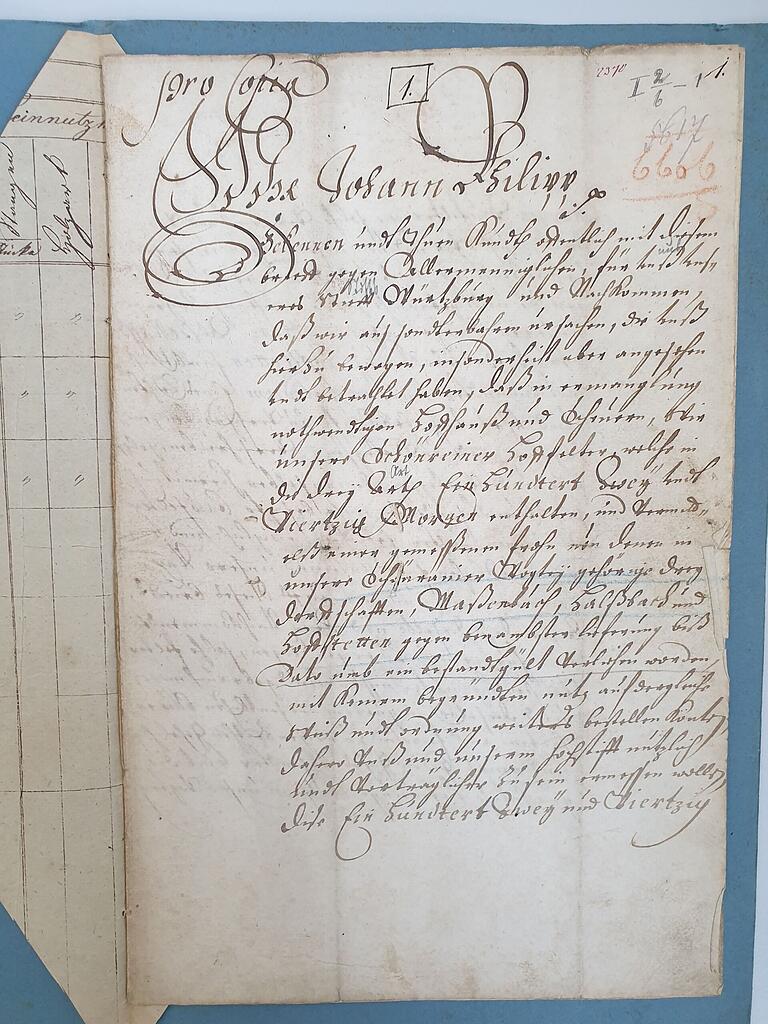 1667 gab Fürstbischof Johann Philipp von Schönborn 142 Morgen Ackerland oberhalb Schönrains an die Dörfer Hofstetten, Massenbuch und Halsbach.