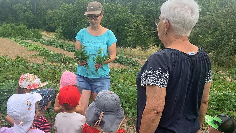 Im Garten durften die Kinder frische Johannisbeeren, Himbeeren und Heidelbeeren für ihr Frühstück selbst ernten, weitere Lebensmittel im Rahmen eines ausgewogenen Frühstücks hatte Marina Eltschka bereits mit viel Liebe vorbereitet. Aus frischen Kräutern vom Garten wurde außerdem noch ein Tee zubereitet.