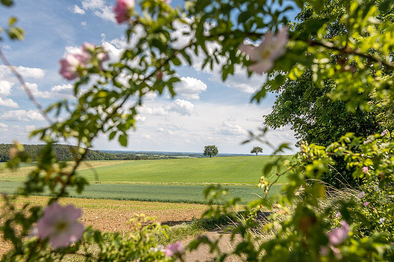 Die Route bietet immer wieder weite Fernblicke mit hübschen Details.