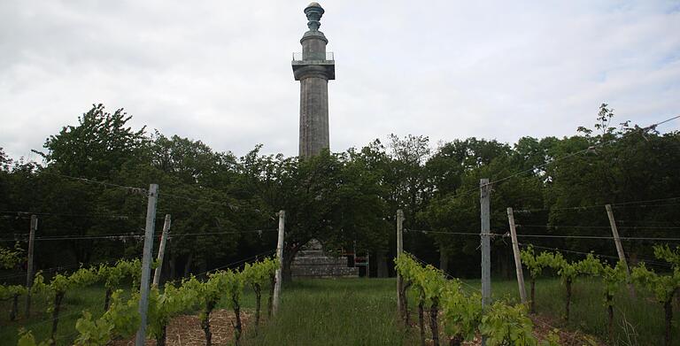 Im Wald (von hier aus betrachtet hinter) der Konstitutionssäule bei Gaibach soll ein Bestattungswald entstehen. Natur- und Denkmalschutzbehörden haben Bedenken dagegen.