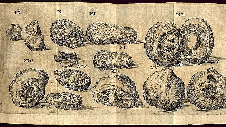 Mit Geologie  beschäftigte sich Johann Laurentius Bausch.