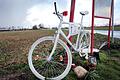 Geisterfahrrad erinnert an Verkehrstoten       -  Ein weiß gestrichenes Rad am Straßenrad erinnert an im Verkehr getötete Radfahrer (Foto Archiv).