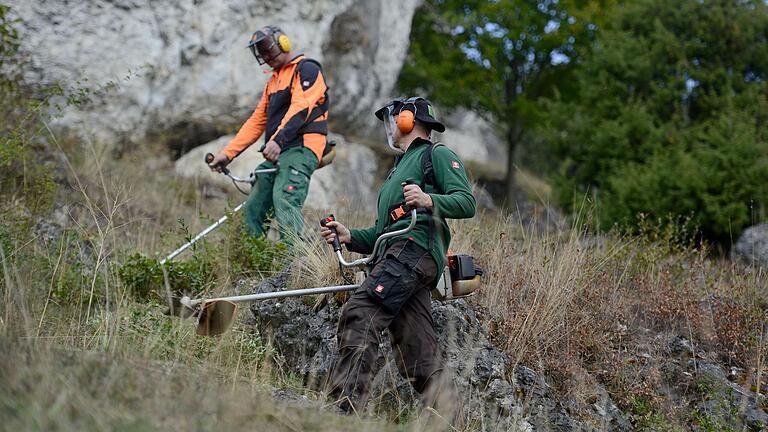 Ein Landschaftspflegeverband kümmert sich im Auftrag einer Gemeinde beispielsweise um die Pflege von ökologischen Ausgleichsflächen. Die Arbeiten (Symbolbild) werden zumeist an Landwirte oder Maschinenringe vergeben. Ein Landschaftspflegeverband kümmert sich im Auftrag einer Gemeinde beispielsweise um die Pflege von ökologischen Ausgleichsflächen. Die Arbeiten (Symbolbild) werden zumeist an Landwirte oder Maschinenringe vergeben.