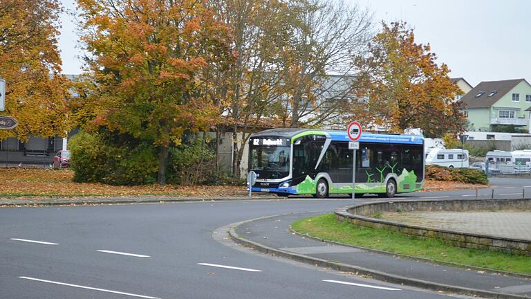 Käme der Verkehrskreisel an der Einmündung der Frankenstraße in die Schweinfurter Straße, müsste wahrscheinlich auch in den Baumbestand eingegriffen werden.