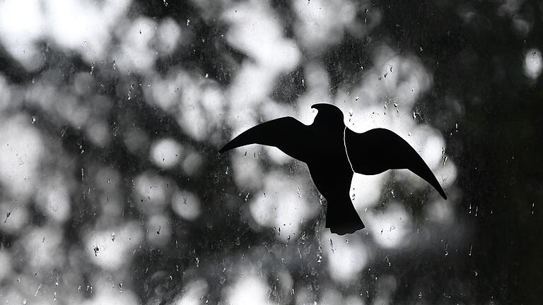 Klebe-Vögel       -  Der Landesbund für Vogelschutz ruft zu mehr Umsicht im Umgang mit den Zugvögeln auf. (Symbolbild)