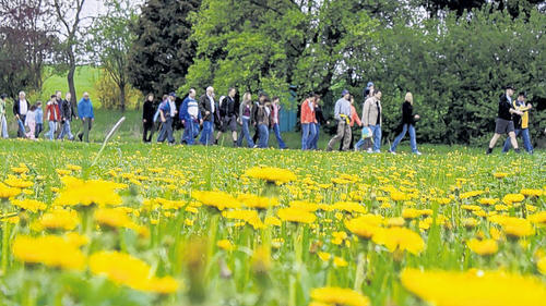 Auf Schusters Rappen unterwegs &ndash; bei Birnfeld.