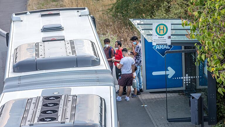 Haltestellendächer in Würzburg sollen künftig begrünt werden. Im Bild die Bushaltestelle Rothof in Würzburg-Dürrbachau.