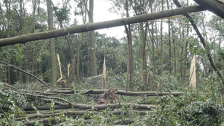 Kleinholz im Dienerholz: Der Sturm entwurzelte oder knickte Bäume in dem Waldstück auf der Rothöhe im August 2017 gleich reihenweise um.