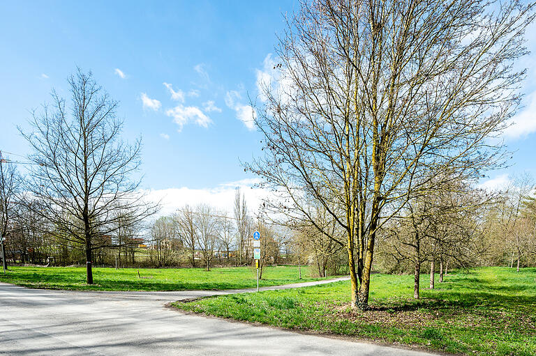 Ein möglicher Standort für die Entstehung des zusätzlichen Kindergartens in Gerolzhofen ist die grüne Wiese am Ende des Seewegs. Diese liegt im Naherholungsbereich Nützelbachaue. Ein möglicher Standort für die Entstehung des zusätzlichen Kindergartens in Gerolzhofen ist die grüne Wiese am Ende des Seewegs. Diese liegt im Naherholungsbereich Nützelbachaue.