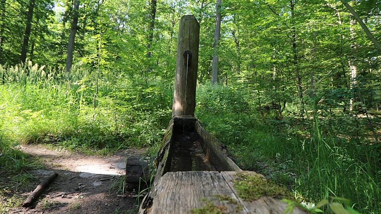 Natur pur im Steigerwald: Frisches Wasser aus dem Brunnen an der Laubwiese.