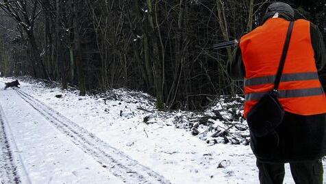 Wildschwein im Visier: Unser Archivbild zeigt eine Aufnahme während einer Jagd im Jahr 2009 in Burgsinn (Lkr. Main-Spessart). Der Jäger trägt eine Signalweste und zielt auf den Schwarzkittel.