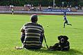 Der Vierbeiner im Kissinger Sportpark scheint kein Interesse am Derby des FC 06 gegen Münnerstadt zu haben.       -  Der Vierbeiner im Kissinger Sportpark scheint kein Interesse am Derby des FC 06 gegen Münnerstadt zu haben.