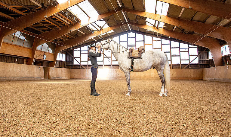 Reitlehrerin Alexandra Fendel trainiert mit Logroño in der Halle.