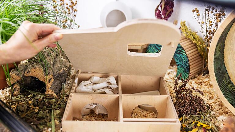 Hamsterhaus mit mehreren Kammern - Hamster brauchen ein abwechslungsreiches Gehege: Bei der Gestaltung sind der Fantasie des Halters keine Grenzen gesetzt. Hamsterhaus mit mehreren Kammern - Hamster brauchen ein abwechslungsreiches Gehege: Bei der Gestaltung sind der Fantasie des Halters keine Grenzen gesetzt.