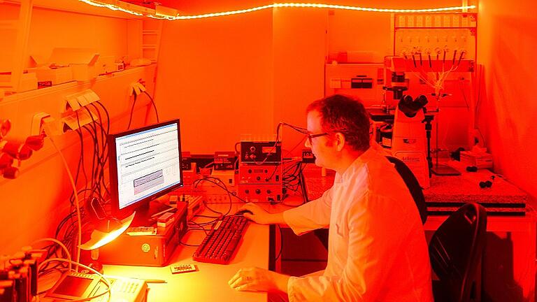 Improvisiert: Im roten Licht der Lämpchenkette vom Baumarkt beobachtet Dr. Michael Kohlhaas, Spezialist für zelluläre Elektrophysiologie, die Aktivität einzelner Herzmuskelzellen. Improvisiert: Im roten Licht der Lämpchenkette vom Baumarkt beobachtet Dr. Michael Kohlhaas, Spezialist für zelluläre Elektrophysiologie, die Aktivität einzelner Herzmuskelzellen.