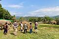 Elefantencamps in Thailand       -  In thailändischen Elefantencamps kommen Touristen den Tieren ganz nahe. (Archivbild)