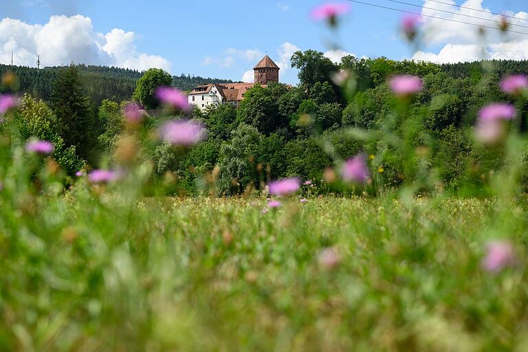 Majestätisch thront die Burg über dem kleinen Ort Rieneck. Mit viel historischer Bausubstanz ist der kleine Ort einen kleinen Umweg wert. Majestätisch thront die Burg über dem kleinen Ort Rieneck. Mit viel historischer Bausubstanz ist der kleine Ort einen kleinen Umweg wert.