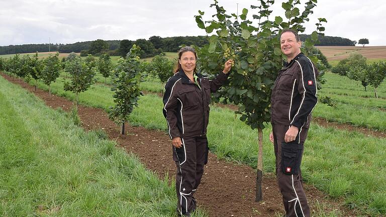 Zufrieden mit dem Wachstum ihrer Bio-Haselnussbäume in der neu angelegten Plantage bei Pfersdorf sind Sarah und Christian Kimmel. Zufrieden mit dem Wachstum ihrer Bio-Haselnussbäume in der neu angelegten Plantage bei Pfersdorf sind Sarah und Christian Kimmel.