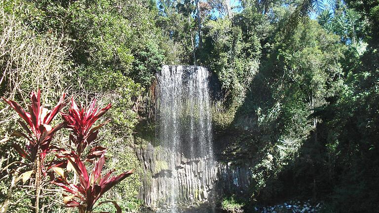 Millaa Millaa Falls       -  Die Millaa Millaa Falls gelten als einer der schönsten Wasserfälle in Down Under. (Archivbild)