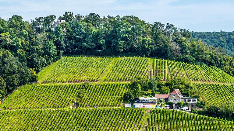 Das Gasthaus Stollberg unterhalb der Burgruine Stollburg inmitten der Weinberge.