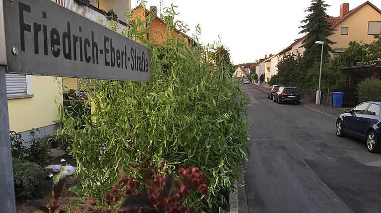 Die Friedrich-Ebert-Straße in Volkach wurde oft geflickt, nun bekommt sie einen neuen Belag. Die Friedrich-Ebert-Straße in Volkach wurde oft geflickt, nun bekommt sie einen neuen Belag.