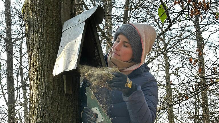 Pia Stengl beim Säubern eines Nistkastens.