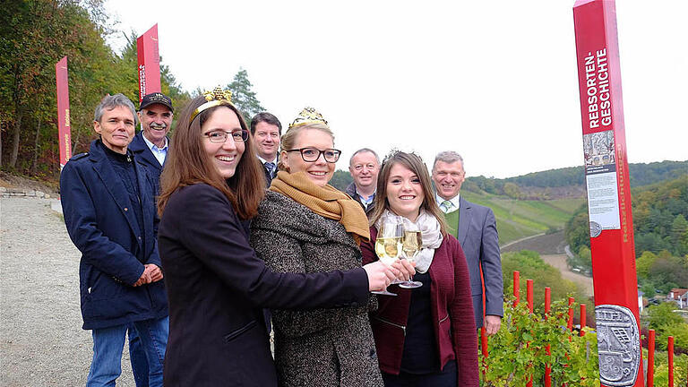 Stoßen auf den neuen Aussichtspunkt an (vorne, von links): die Weinprinzessinnen Marlene Büttner aus Wirmsthal, Miriam Gössmann-Schmitt aus Ramsthal und Annika Kuchenbrod aus Hammelburg. Hinten, von links: Georg Bätz (LWG), Artur Steinmann (Präsident des Fränkischen Weinbau-Verbandes), MdL Sandro Kirchner, Landrat Thomas Bold und Bürgermeister Alfred Gündling. Foto: Gerd Schaar. - Stoßen auf den neuen Aussichtspunkt an (vorne, von links): die Weinprinzessinnen Marlene Büttner aus Wirmsthal, Miriam Gössmann-Schmitt aus Ramsthal und Annika Kuchenbrod aus Hammelburg. Hinten, von links: Georg Bätz (LWG), Artur Steinmann (Präsident des Fränkischen Weinbau-Verbandes), MdL Sandro Kirchner, Landrat Thomas Bold und Bürgermeister Alfred Gündling. Foto: Gerd Schaar. Stoßen auf den neuen Aussichtspunkt an (vorne, von links): die Weinprinzessinnen Marlene Büttner aus Wirmsthal, Miriam Gössmann-Schmitt aus Ramsthal und Annika Kuchenbrod aus Hammelburg. Hinten, von links: Georg Bätz (LWG), Artur Steinmann (Präsident des Fränkischen Weinbau-Verbandes), MdL Sandro Kirchner, Landrat Thomas Bold und Bürgermeister Alfred Gündling. Foto: Gerd Schaar. - Stoßen auf den neuen Aussichtspunkt an (vorne, von links): die Weinprinzessinnen Marlene Büttner aus Wirmsthal, Miriam Gössmann-Schmitt aus Ramsthal und Annika Kuchenbrod aus Hammelburg. Hinten, von links: Georg Bätz (LWG), Artur Steinmann (Präsident des Fränkischen Weinbau-Verbandes), MdL Sandro Kirchner, Landrat Thomas Bold und Bürgermeister Alfred Gündling. Foto: Gerd Schaar.