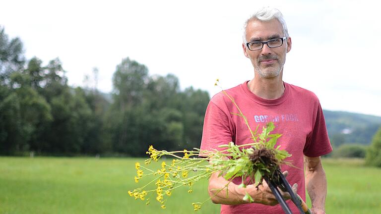 Torsten Ruf bei einer Aktion mit Freiwilligen im Naturschutzgebiet Sinngrund. Hier wurde heuer wieder das Wasserkreuzkraut bekämpft.