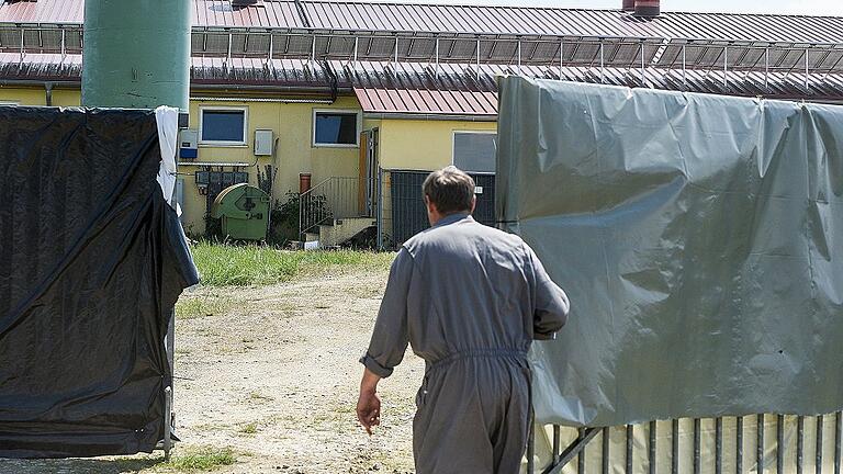 Arbeiten hinter Sichtschutzplanen: Seit Montag wurden die 2000 toten Mastschweine aus dem Stall abtransportiert.