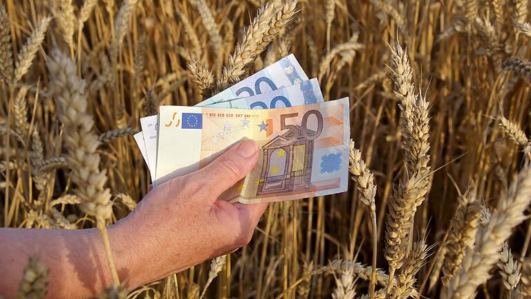 Agrarsubventionen: 20 Prozent der Betriebe erhalten in der EU 80 Prozent der Gelder. Agrarsubventionen: 20 Prozent der Betriebe erhalten in der EU 80 Prozent der Gelder.