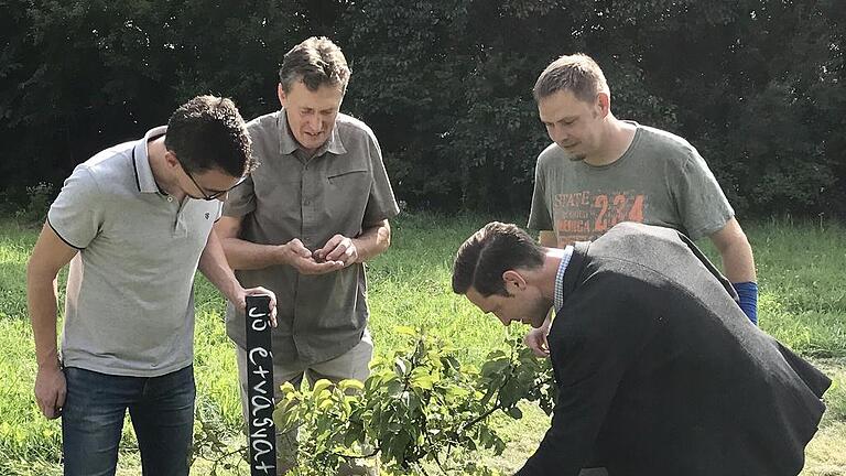 Es darf ausdrücklich genascht werden (von links): Stadtmanager Daniel Hausmann, Förster Volker Conrad, Stadtgärtner Andre Ditterich und Bürgermeister Thorsten Wozniak inspizieren einen Pflanzkasten im Rahmen der &bdquo;Essbaren Stadt&ldquo;.