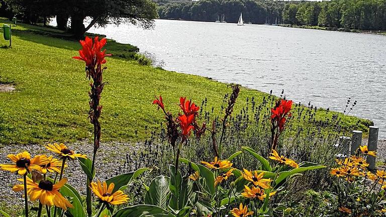 Liegewiese mit Blumenschmuck am unteren Damm des Ellertshäuser Sees.