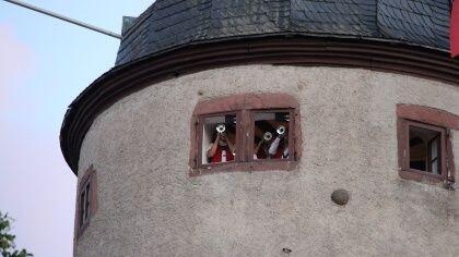 An diesem Freitag findet erstmals das Turmblasenfest am Schlossplatz in Tauberbischofsheim statt.&nbsp;