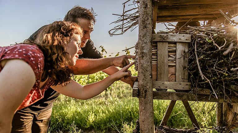 Sabrina Bausewein und Matthias Popp vom Weingut Bausewein suchen nach Insekten in ihrem Lebensturm, den sie an einem ihrer Weinberge in Iphofen errichtet haben.&nbsp;