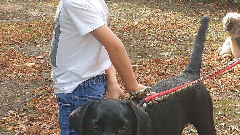 Ein treuer Vierbeiner für alle Fälle: Simon mit seinem Labrador Active.