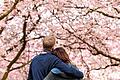 Kirschblüte im Schwetzinger Schlossgarten       -  Wenn die Frühlingsgefühle verschwinden: Krisen erschüttern Beziehungen meist in der Mitte des Lebens, wenn der Blick füreinander im Alltagsstress untergeht.