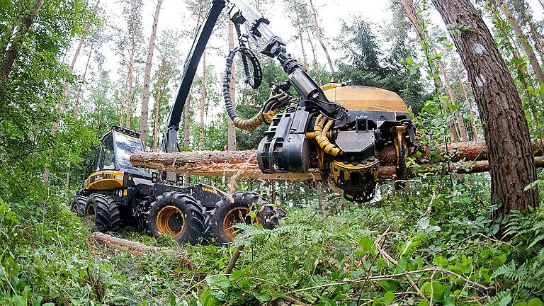 Niedersächsische Landesforsten       -  Ein Maschinenfahrer fällt und zersägt auf diesem in Niedersachsen entstandenen Archivbild mit einem sogenannten Harvester eine Kiefer im Wald. Mit einem dieser Holzvollernter und einem Tragrückeschlepper (Forwarder) waren vom Wind im Naturschutzgebiet Weilersbachtal geworfene Fichten geborgen und abtransportiert worden.