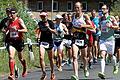 Die Favoriten waren von Anfang an vorne dabei &ndash; darunter der Sieger des Hauptlaufes Alexander Finsel (637), der Sieger des Halbmarathons Uwe Bäuerlein (600), Rainer Kirchner (807), Uli Pfuhlmann (808), Christopher Lippold (642) und die Siegerin des Hauptlaufes Sandra Haderlein (676).