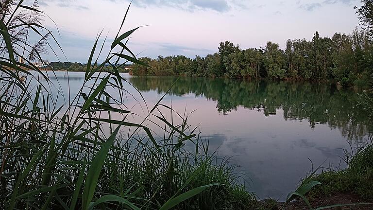 Die gegenwärtigen Probleme am Dettelbacher Baggersee sollen durch ein neues Konzept verringert oder gar beseitigt werden.