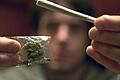 Ein geplatzter Drogendeal mit einem Tütchen Marihuana (Symbolfoto) hat die Polizei in der Wohnung eines 33-Jährigen in Bad Neustadt zu weiteren Drogen geführt.&nbsp;
